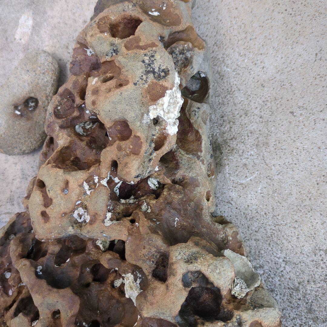 送料無料 アクアリウム 水槽用石セット メダカ熱帯魚