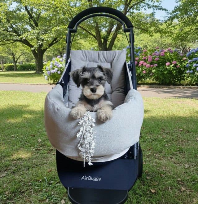 ❤3点セット❤年中使える❤ペットカートコンフォーター＆ライナー＆