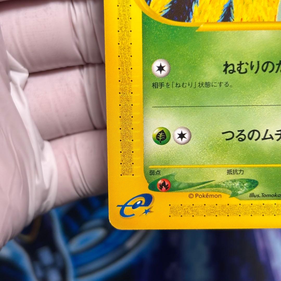 【極美品】フシギダネ eカード スターター 002/029