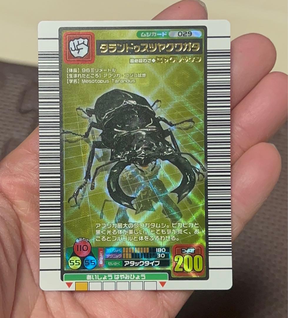 ムシキング マンティブラリスフタマクワガタ タランドゥスツヤクワガタ