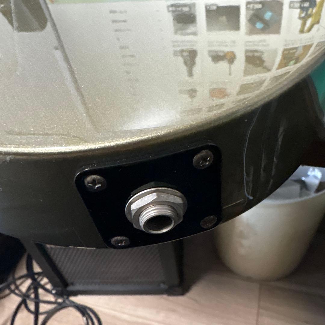 アイバニーズ　フジゲン製