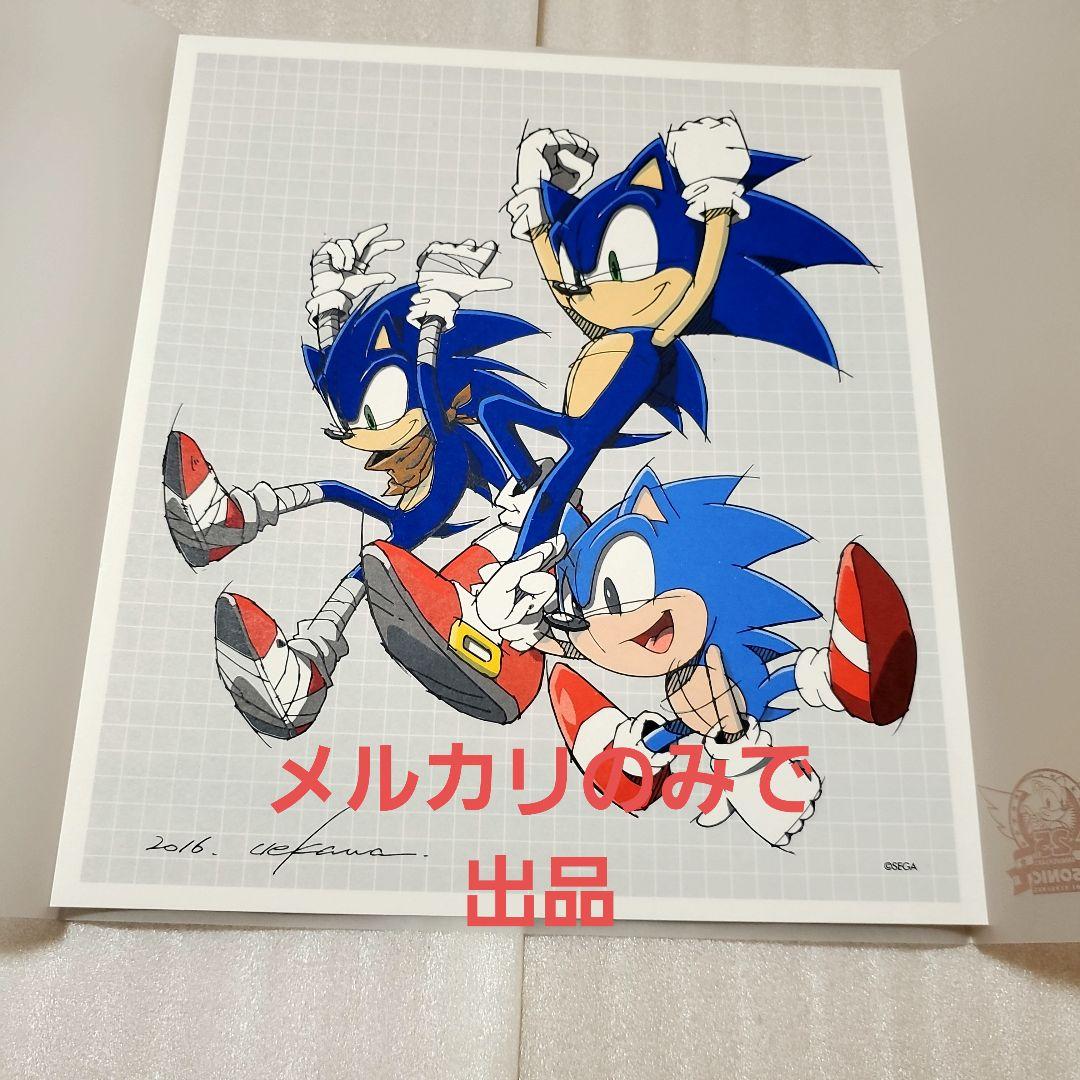 ソニック・ザ・ヘッジホッグ アートイラスト サイン入り シリアル
