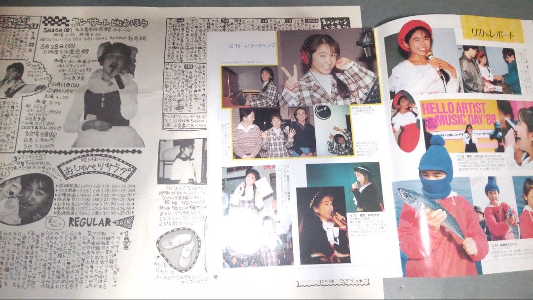 姫乃樹リカ ファンクラブの会報 「姫鈴/姫Rin/あっ！リカ党」セット