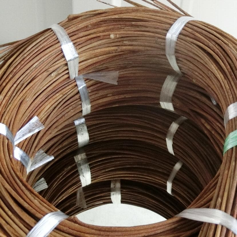 みっくん　青森岩木山採取　あけび蔓　150cm～ 5kg