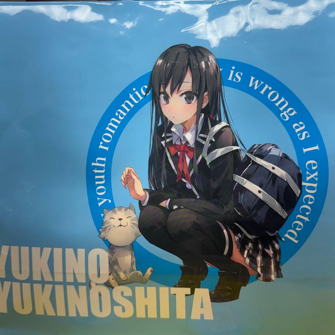 やはり俺の青春ラブコメはまちがっている。 雪ノ下雪乃 ドンキホーテ