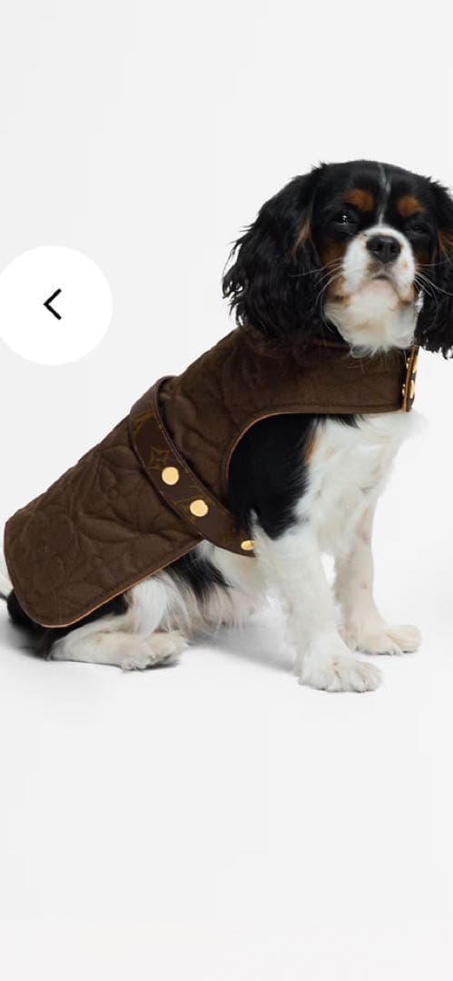 ルイヴィトン♡ドッグコートPM 試着のみ美品 正規品 - メルカリ