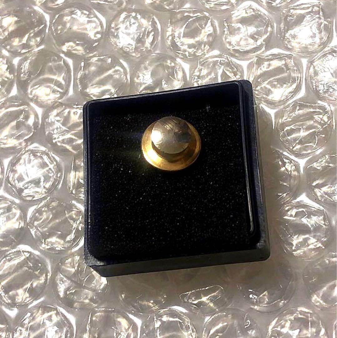 勤続5年 非売品 関係者 東京ディズニーランド TDL キャスト ピンバッジ