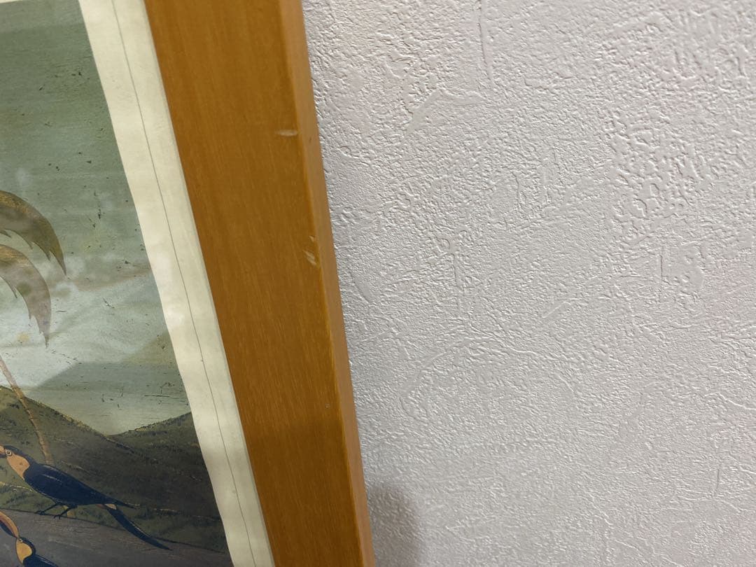 WARREN KIMBLE ウォーレンキンブル ノアの方舟