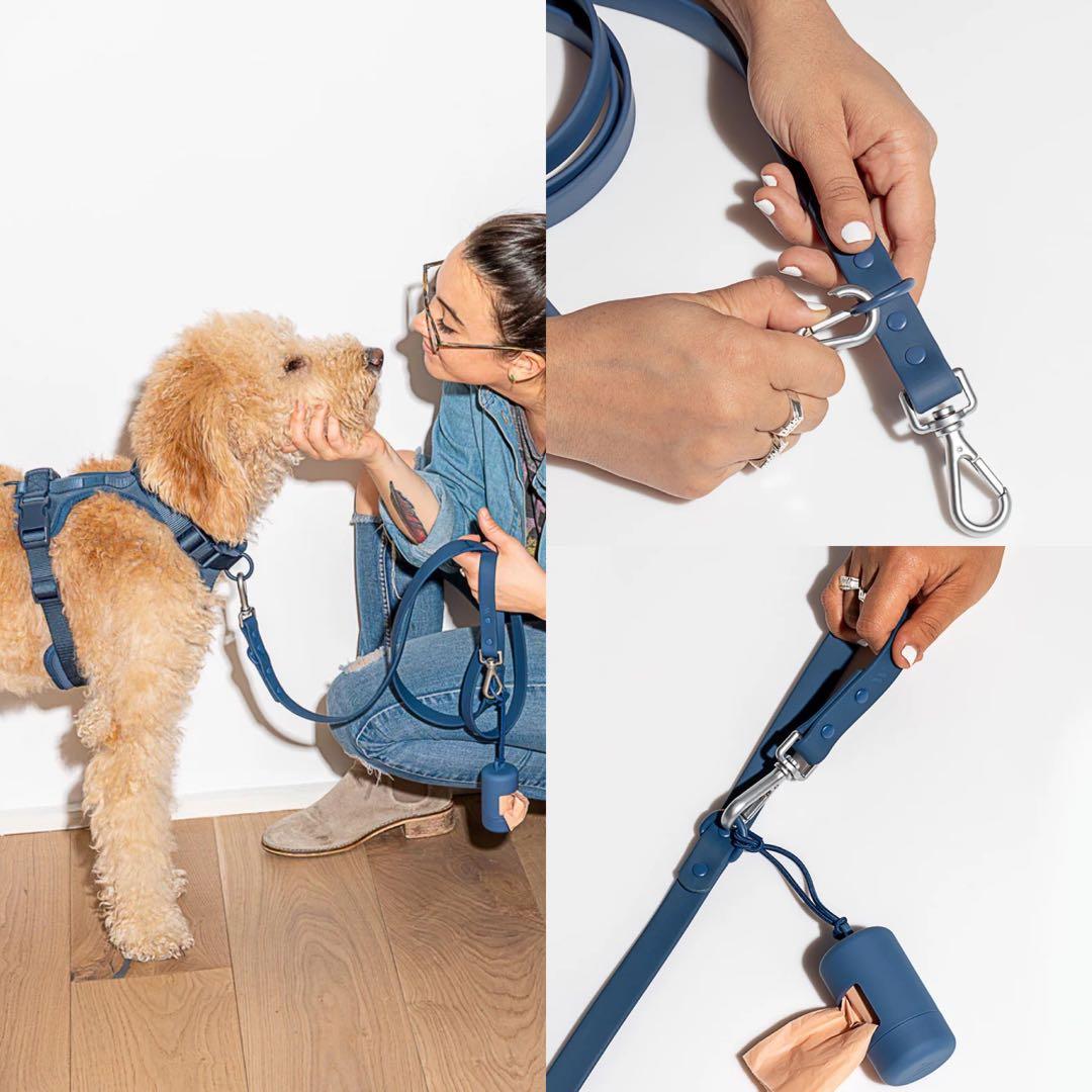 Wild One 犬用 首輪、ハーネス、リース 3点セット