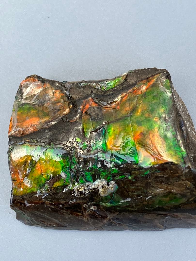化石原石アンモライトアンモナイトカナダ産幅4.1cm 置物箱付き