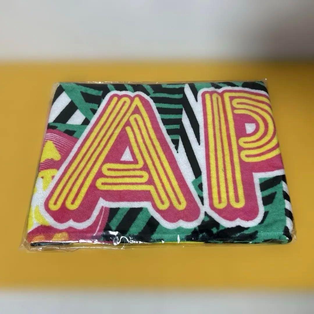 AAAグッズ 17点まとめ売り 「パンフ、ファイル、タオル、Tシャツ、他