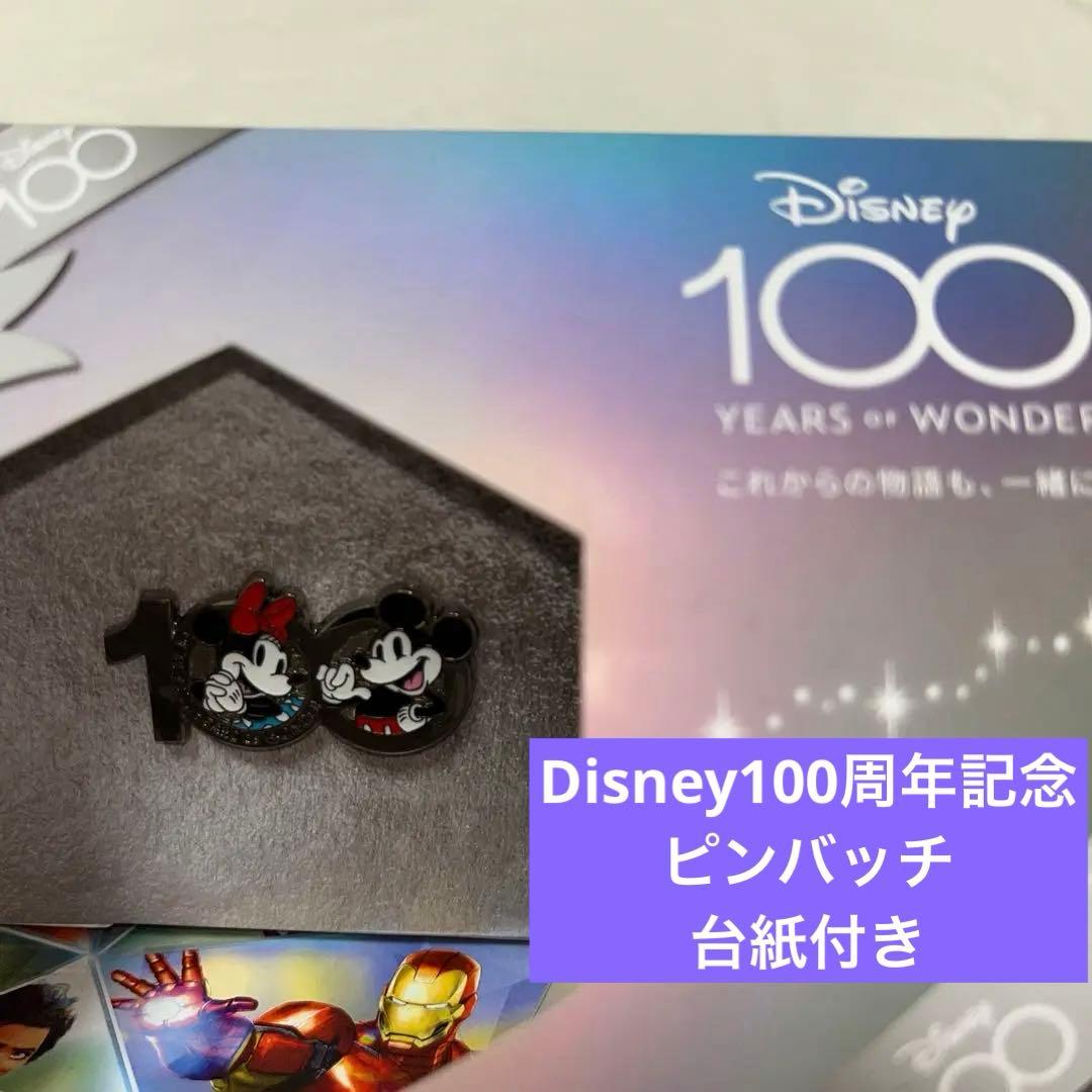 非売品】2023・2021年ディズニーJCBカード会員特典ピンバッチ2個セット