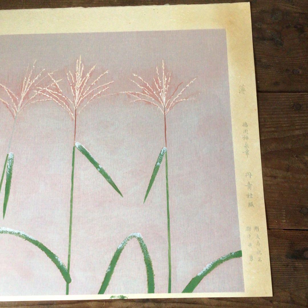 No1281 木版画  「薄」 徳岡神泉筆　円青社版　日本画　美術品　送料無料