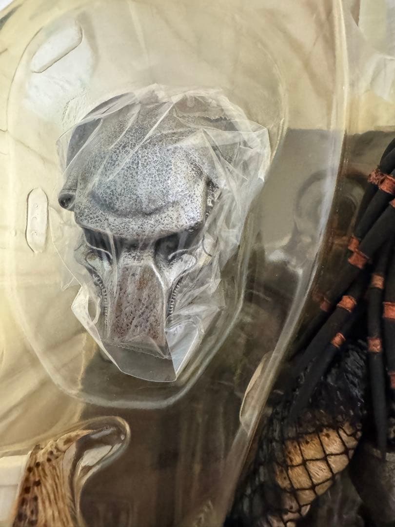 ❗️激レア　美品　毎日値下げ❗️ ホットトイズ　エンシェント　プレデター　2.0