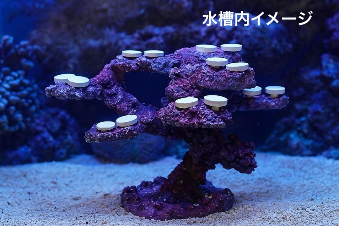 【送料無料】人工ライブロック　PHR17／15穴加工　アク抜き済み安心塗料使用 人工ライブロック SHR24 アク抜き済み安心塗料使用