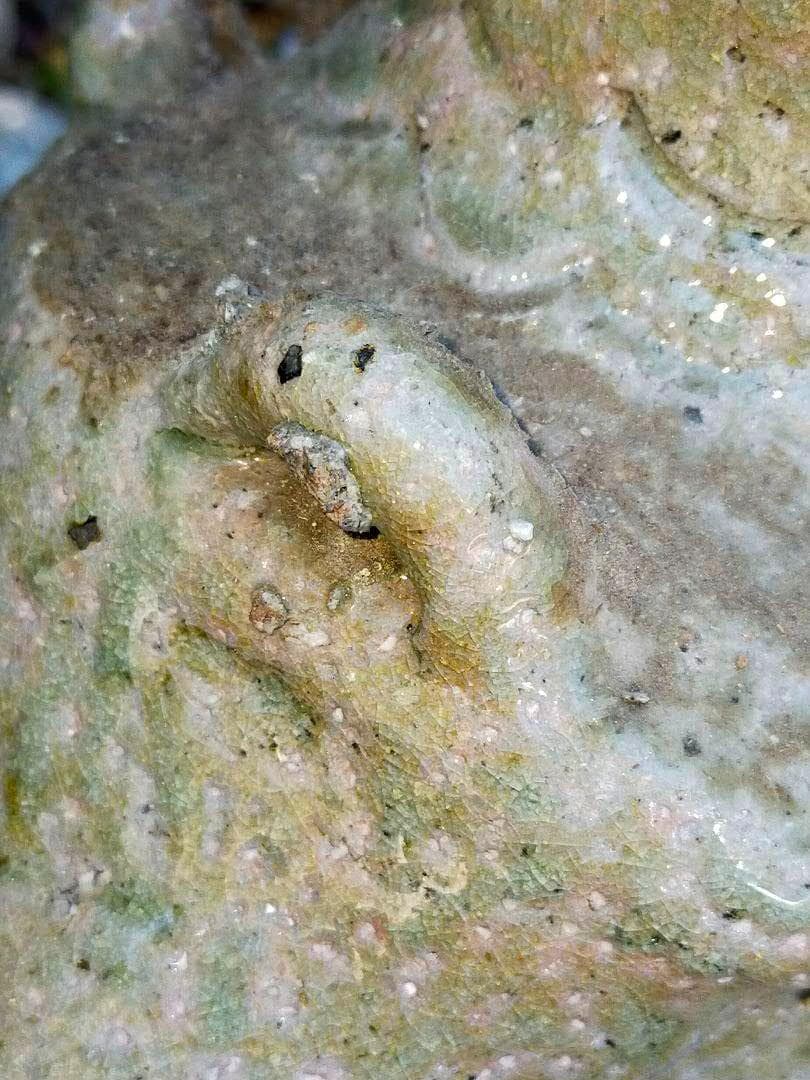 ♥伊賀 四耳 花入れ 花瓶 花器 骨董品 古玩