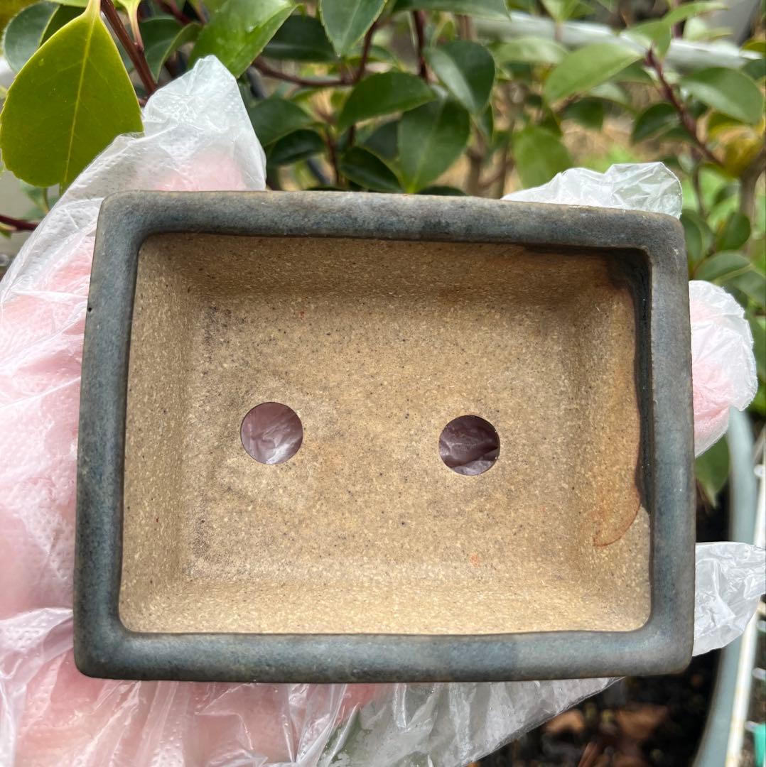 小品盆栽鉢 盆栽鉢 佑泉