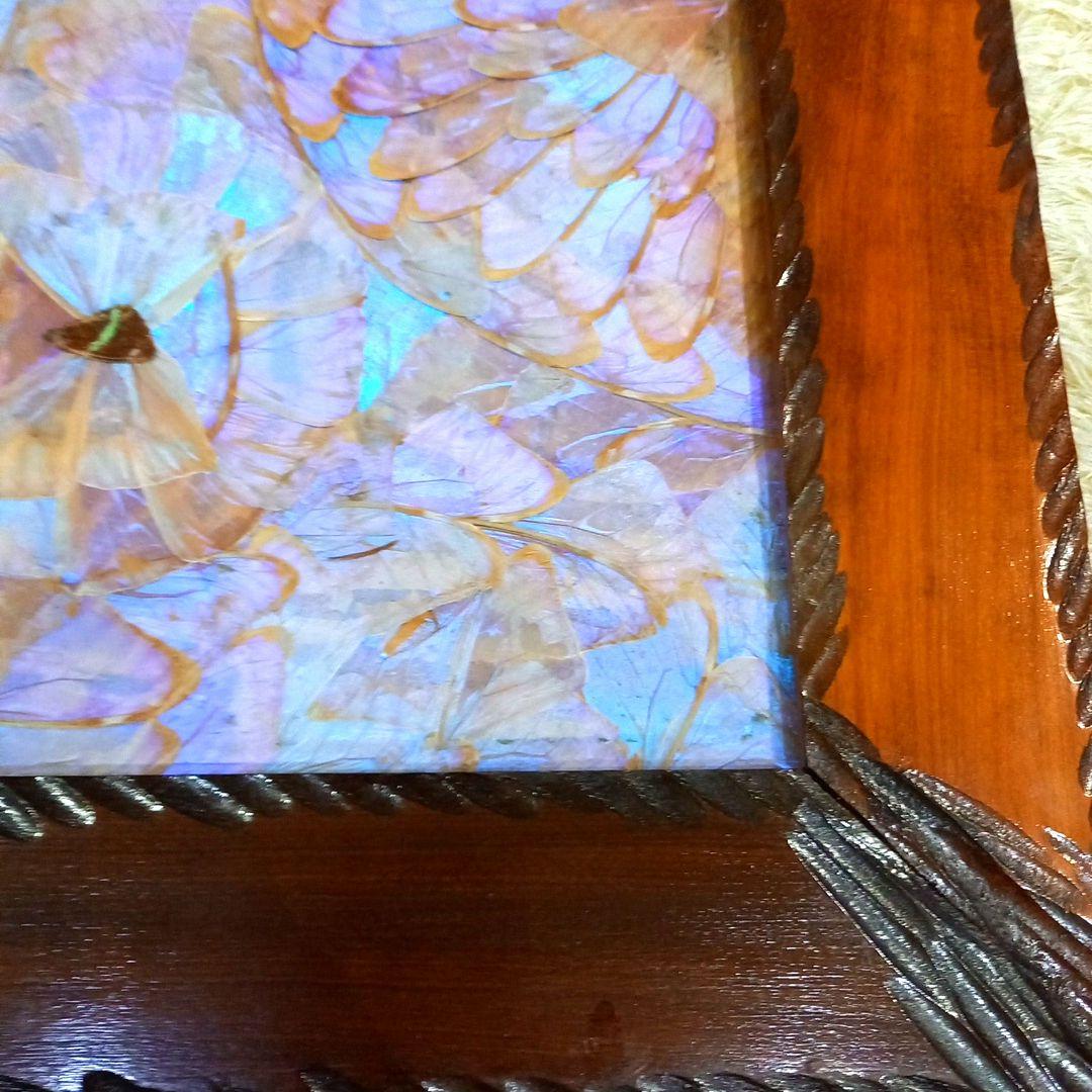 希少 羽根細工 モルフォ蝶◇蝶羽画 絵画 木製額 - メルカリ