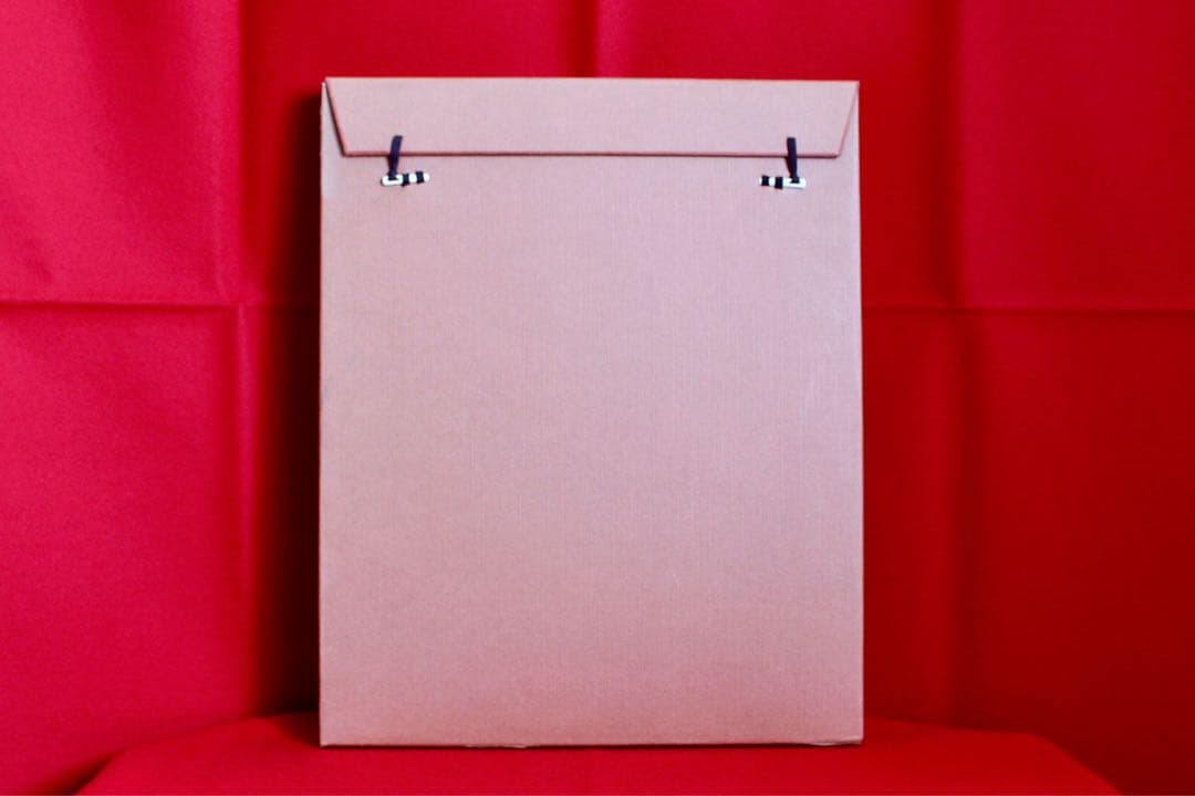 花乙女コレクション【西脇順三郎 花と人物】購入金額より60％お値引き！！