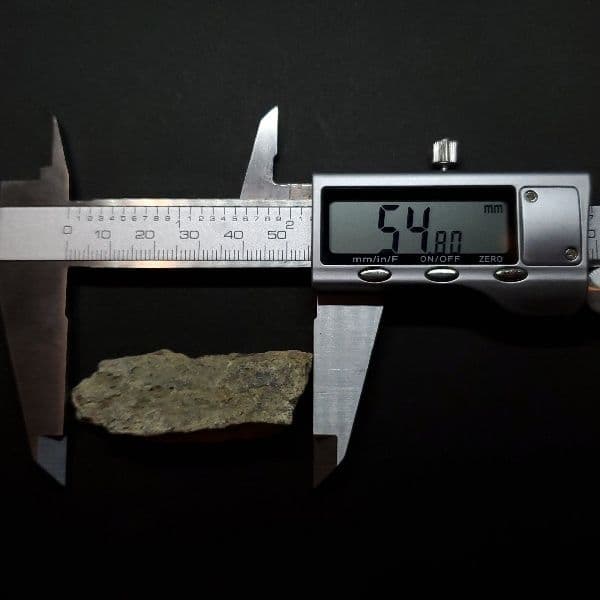 ティラノサウルス 化石 骨 本物 アメリカ産 54.80mm tb87