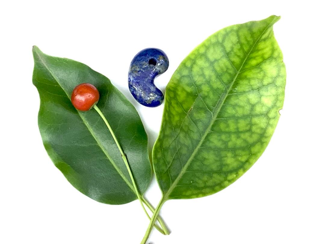 ✳希少お宝勾玉‼️ ラピスラズリ 黄鉄鉱ピカピカ 色彩良好 本物