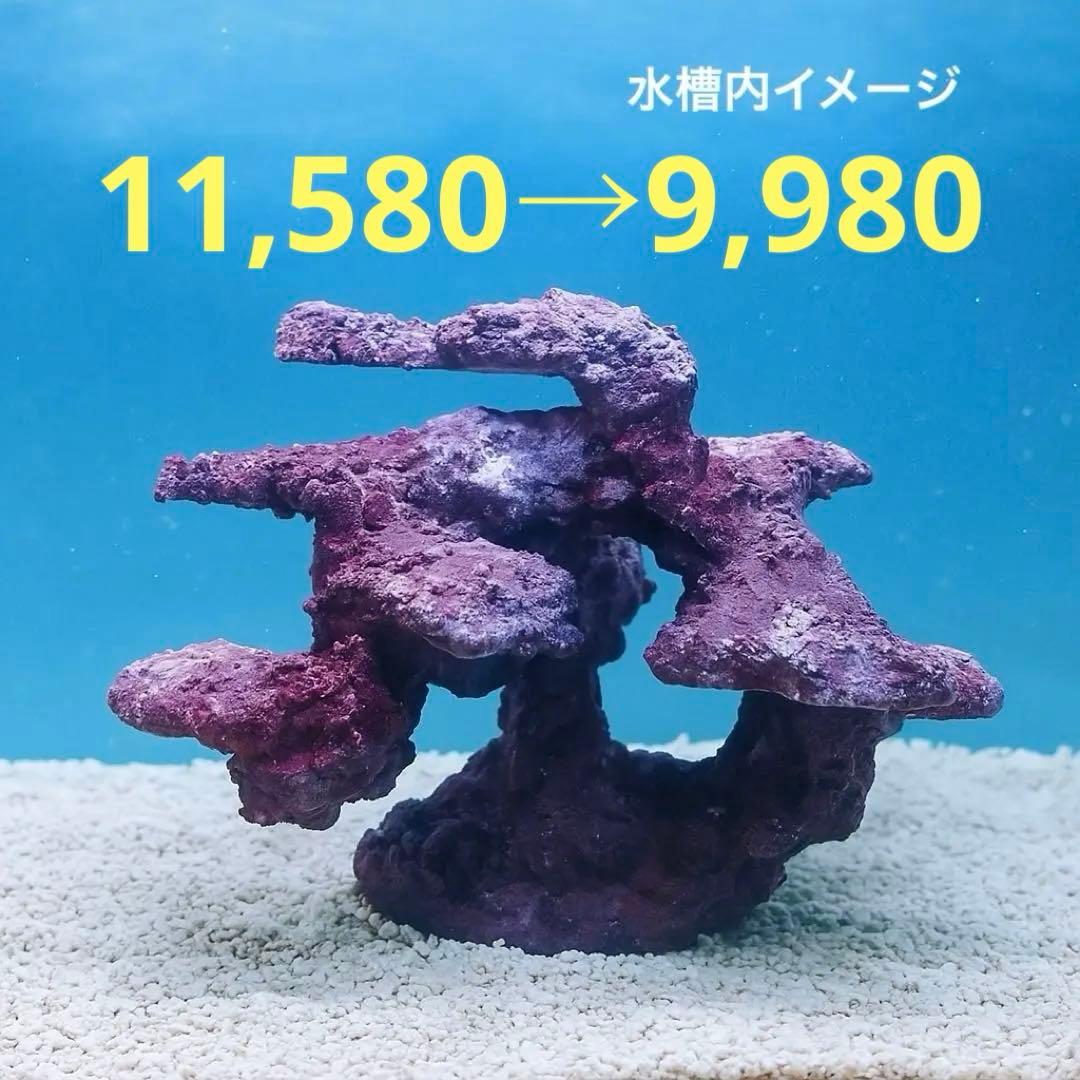 人工ライブロック SHR24 アク抜き済み安心塗料使用