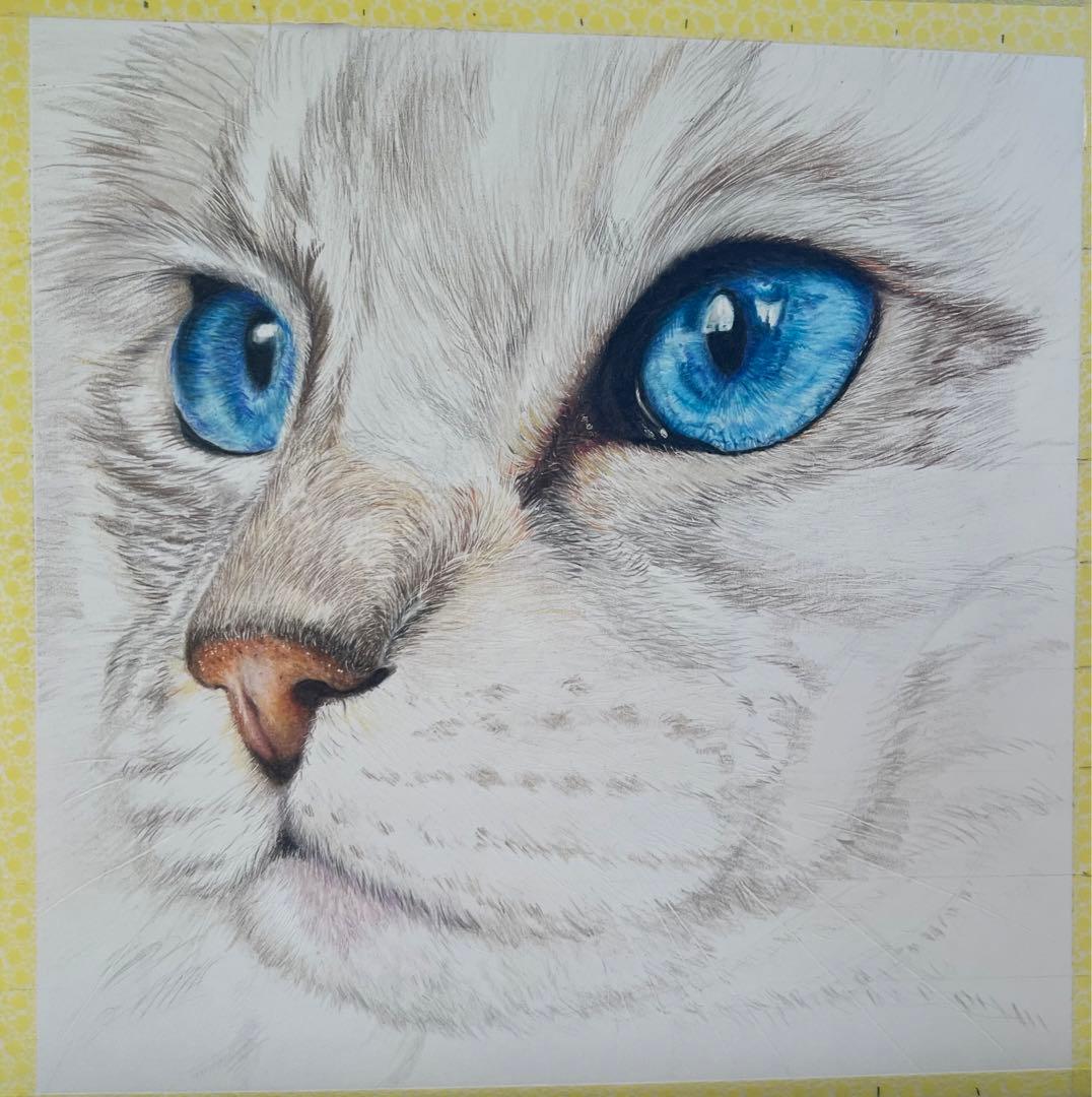 色鉛筆画 青い目の猫 手描き ネコ 猫 ペット イラスト 第2回ねこちゃん