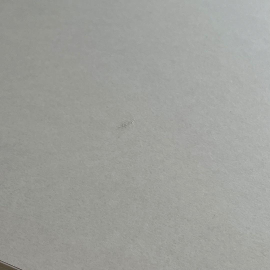 ニトリ すのこチェストベッドフレーム(シングル N-ジオT2 WW 40M-S)