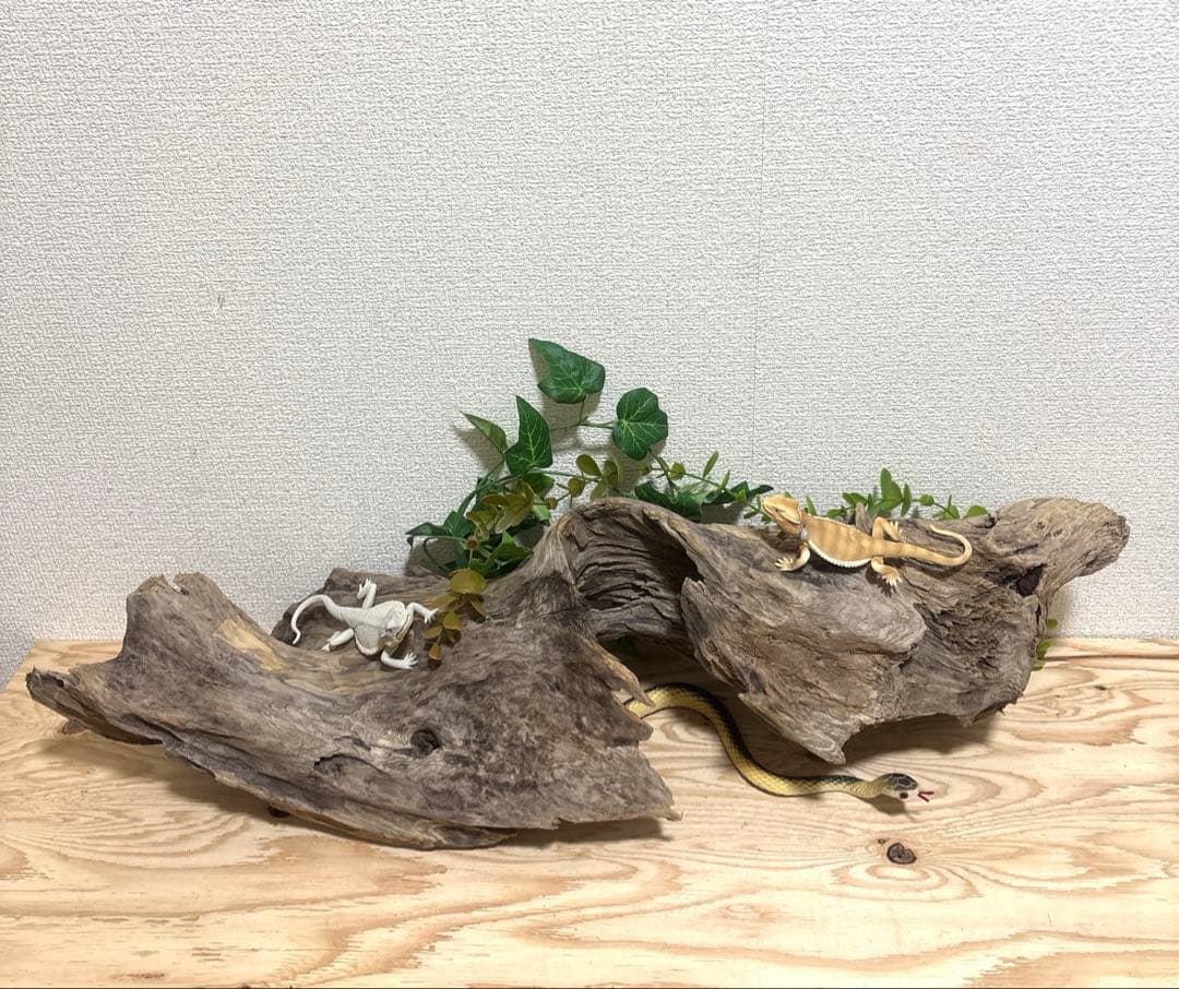 G67 流木 爬虫類 両生類シェルター バスキング 観葉植物 インテリア