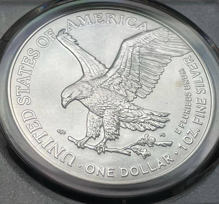 専用イーグル銀貨2021年PCGS MS70first day of issue L108748318