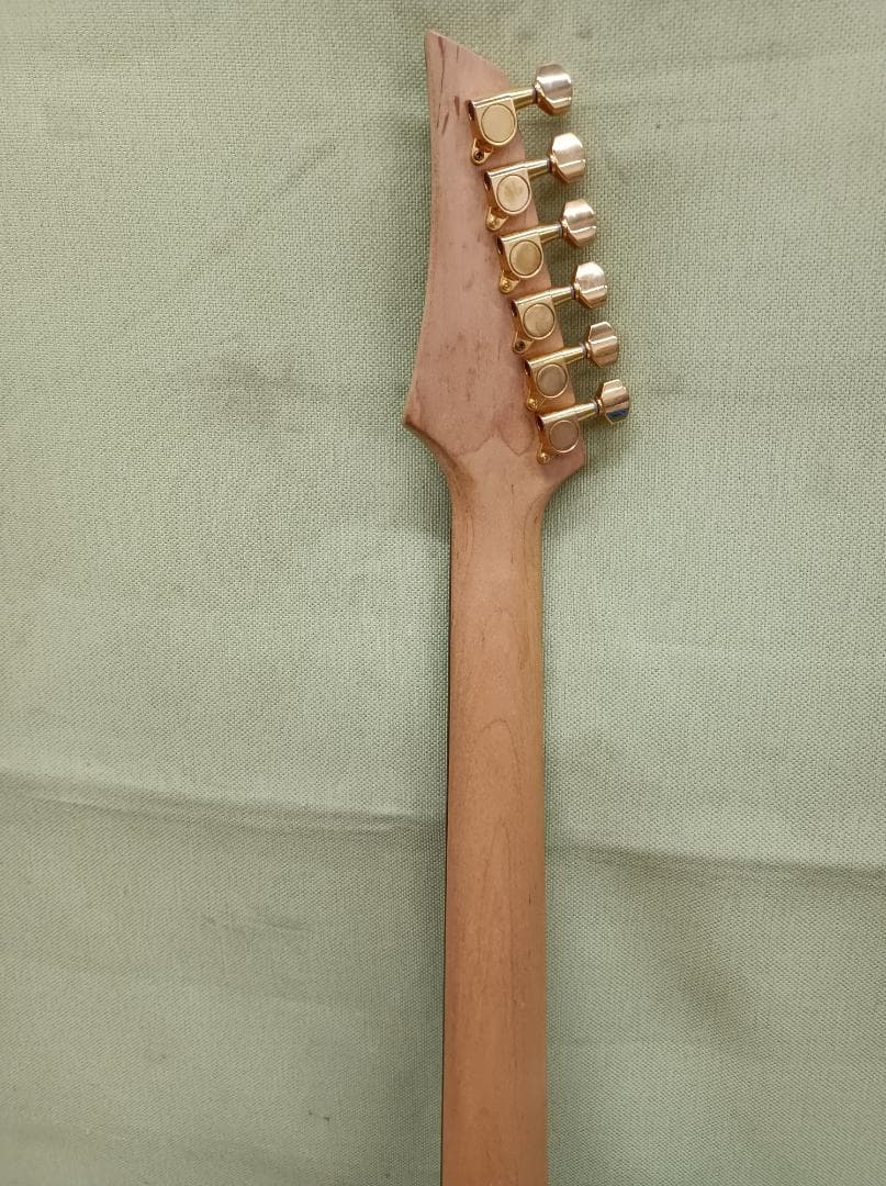 都《TCAJQ》FERNANDES エレキギター グラデーション　FGZ-400