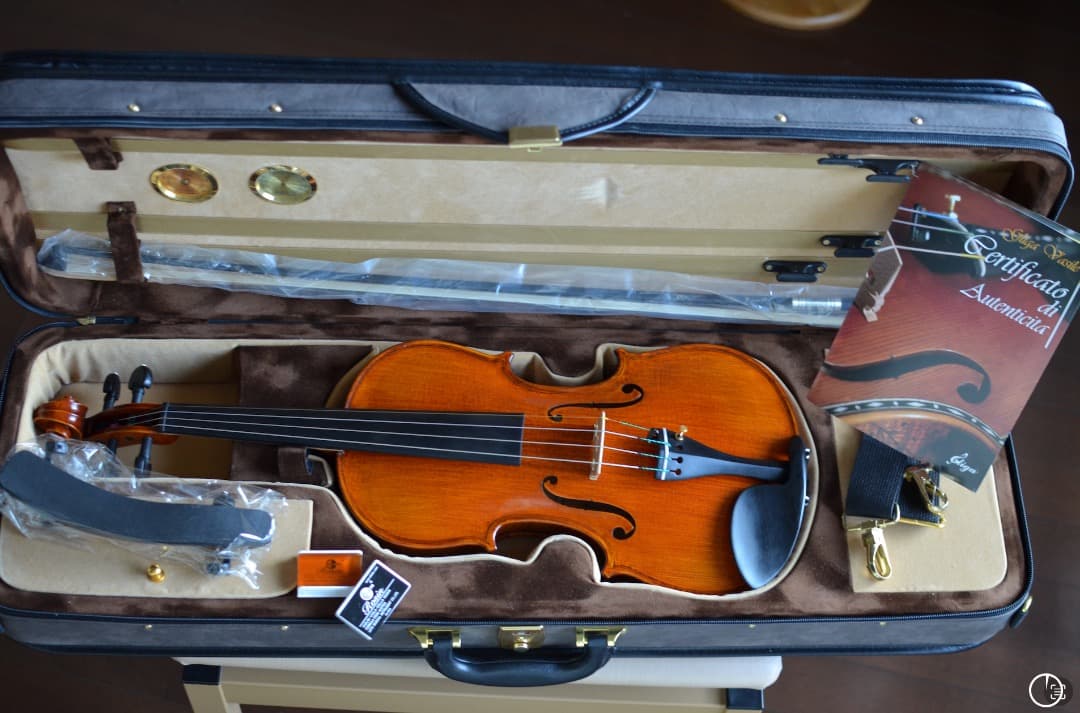 【最上位 新品】Gliga Vasile Maestro バイオリン 4/4
