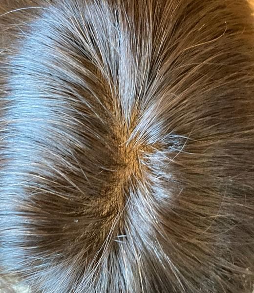 リネアストリア「人毛100％　天使のニュアンスショート」S　ダークブラウン