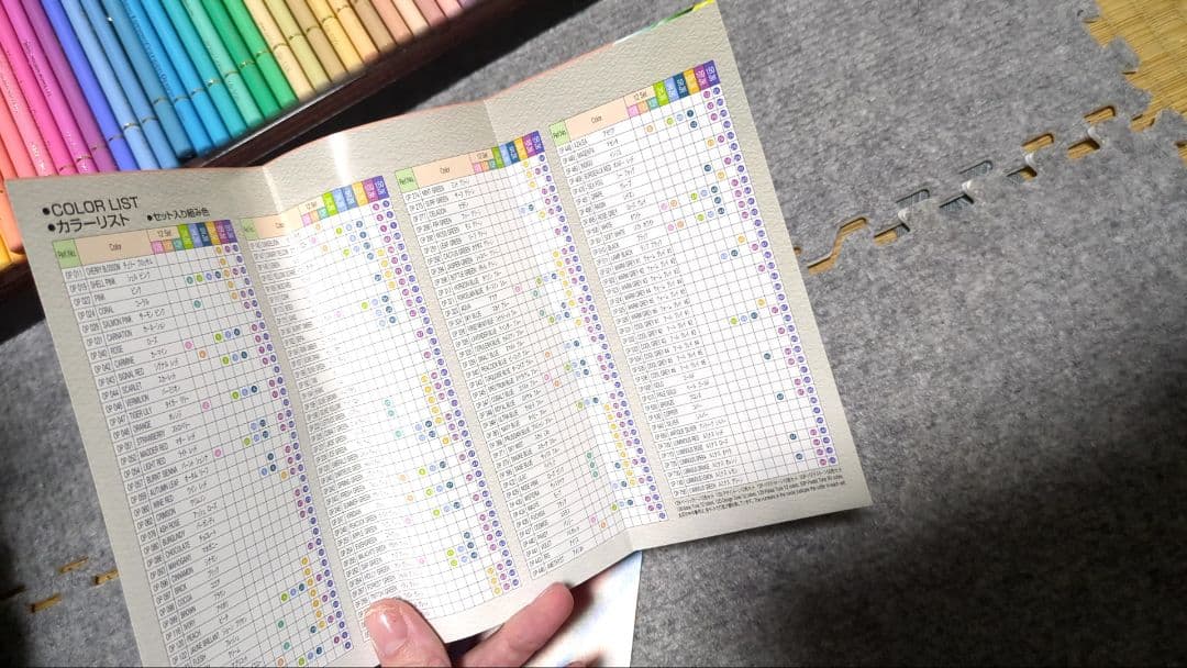 【今回だけ特別にお値下げ！】ホルベイン　色鉛筆