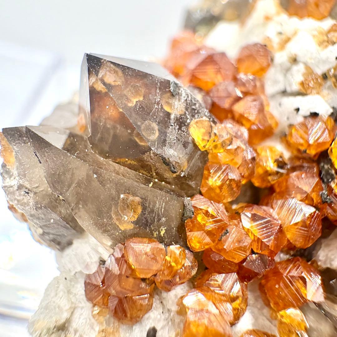 555 中国福建省産 ガーネット&スモーキークォーツ