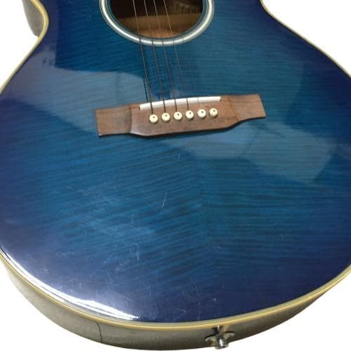 Y USED エレアコ Pro Martin custom ギター ブルー 2026年最新】PRO