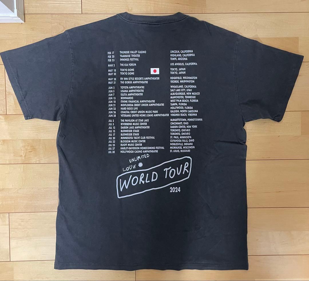 新品2024 RED HOT CHILI PEPPERS ツアーT XL