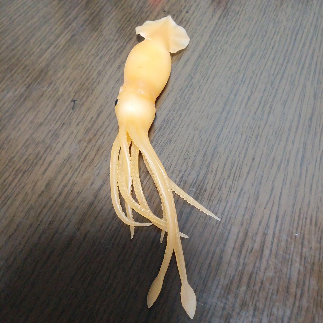 クジラアンドコー コンプリート