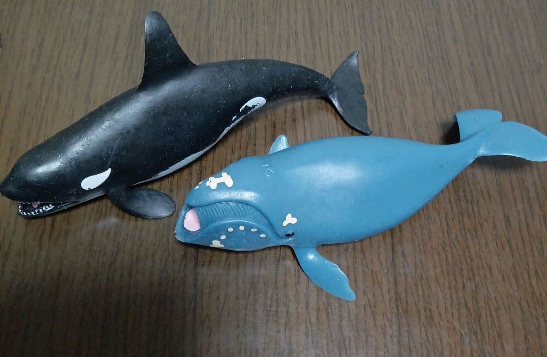 クジラアンドコー コンプリート