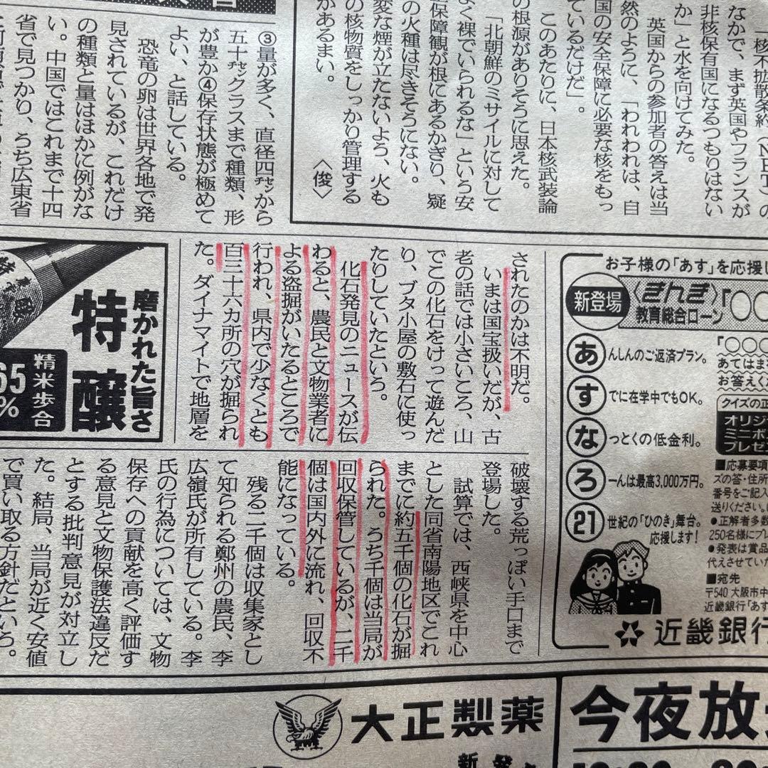 恐竜　化石　卵　たまご　1994年　中国