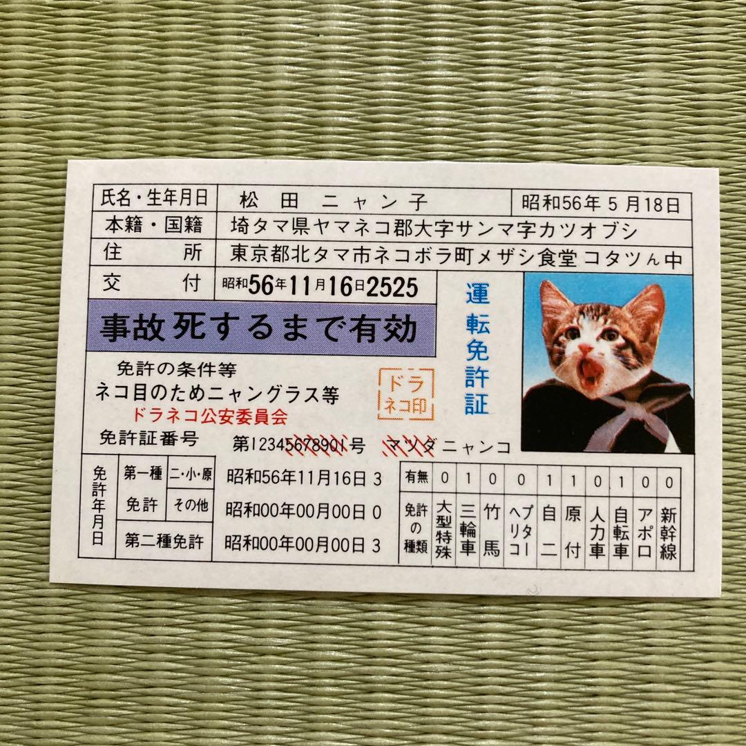 懐かしい　レア物　「なめんなよ」カードケース　カード３枚