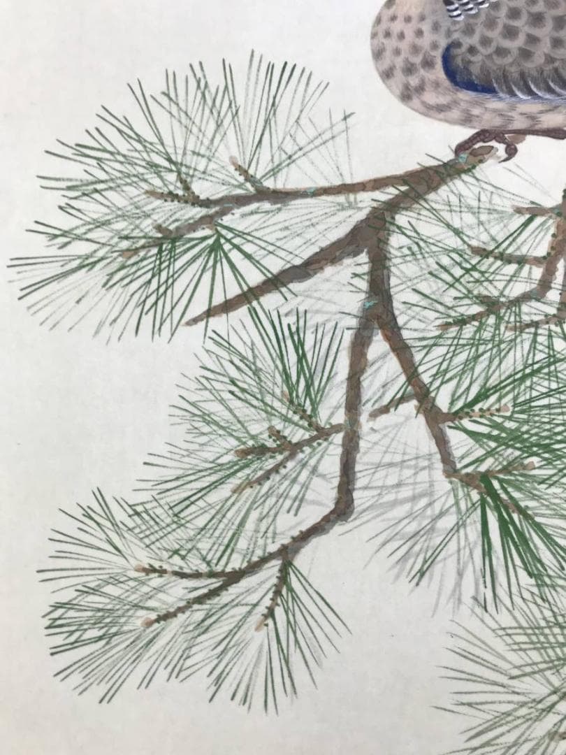 真作/松歳/八幡鳩図/松に鳩図/鳥図/八幡神社/八幡