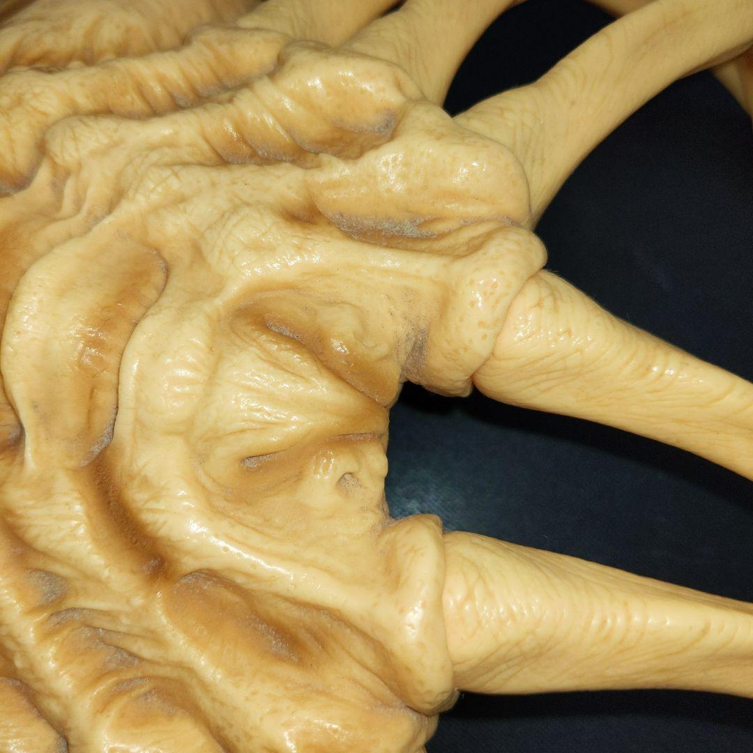 Face Hugger 1:1 フェイスハガーエイリアン　90s　実物大当時物