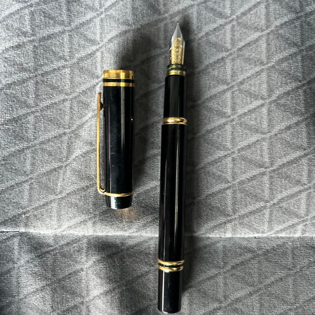 WATERMAN 18k750万年筆