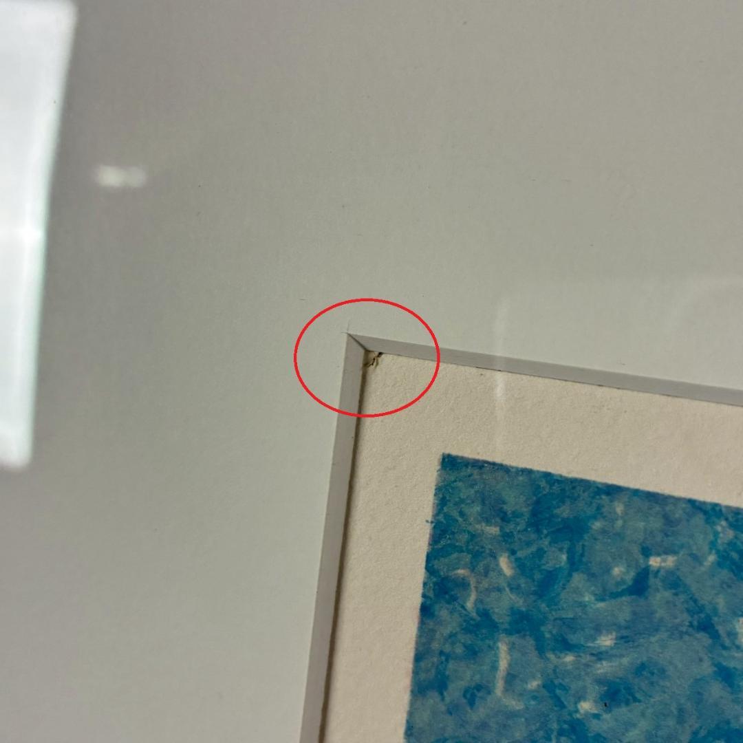 美品 アンドレ・ブーリエ「水辺の家」リトグラフ 直筆サイン入 お洒落