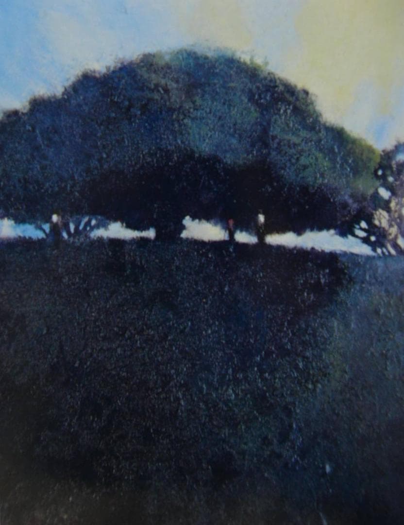 糸園 和三郎、丘の木、希少画集・額装画、新品高級額 額装付、状態良好