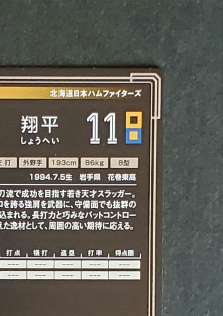 【美品】大谷翔平 2013 バンダイ オーナーズリーグ インフィニティ 打者版