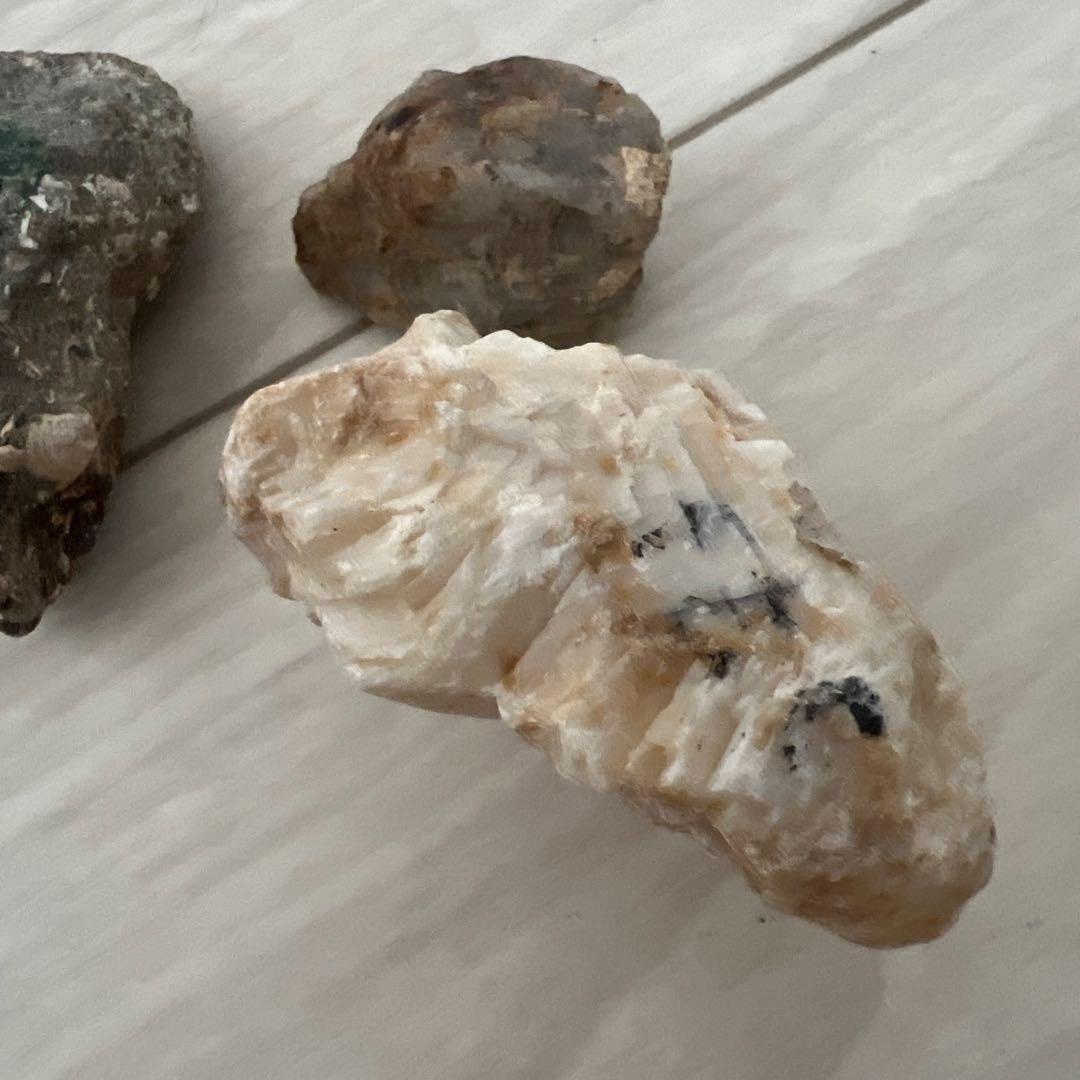 珍しい石&化石 セット アマゾナイトetc - コレクション最 安値