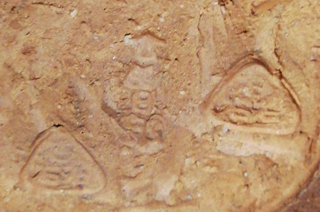 五代 五十嵐信平作 古曽部焼 刷毛目 茶碗 共箱 茶道具