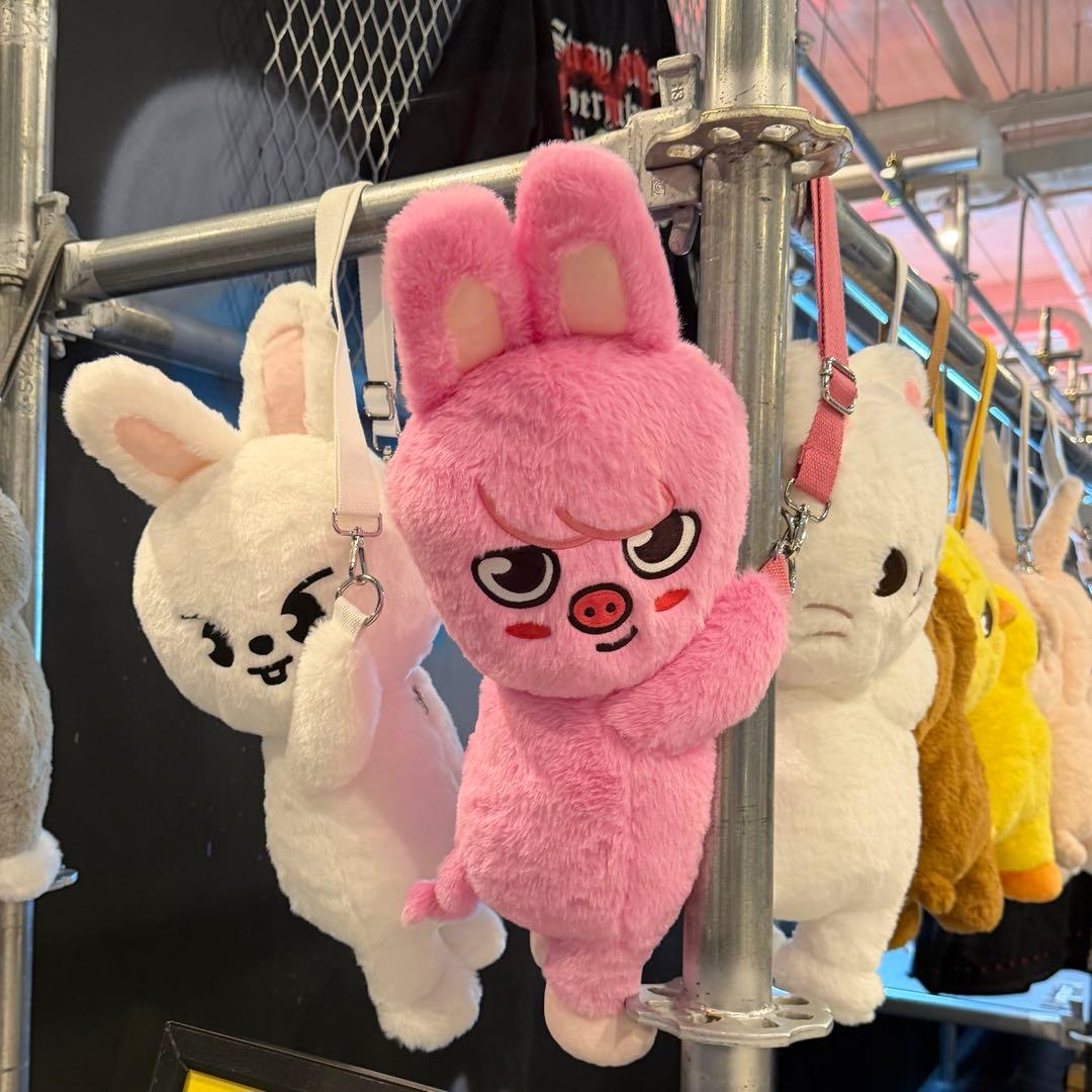 straykids celebrATE プラッシュバッグ トェッキ チャンビン